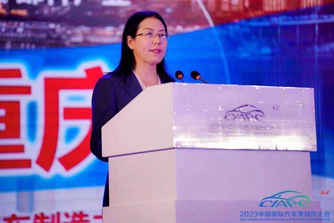 2023中国国际汽车零部件大会在广安隆重开幕(图6)